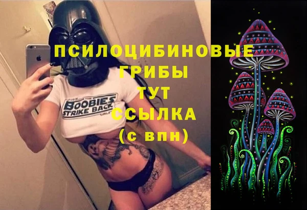 ECSTASY Алексин