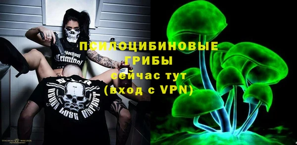 ECSTASY Алексин