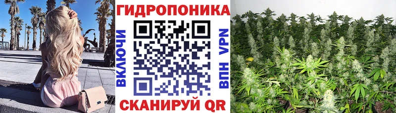 Бошки марихуана THC 21% Билибино